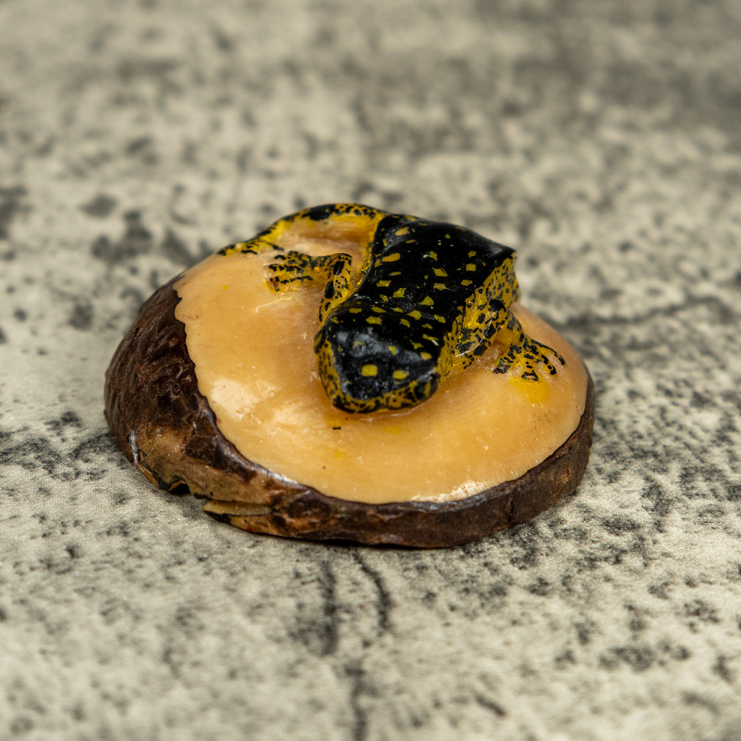 Vintage Black And Gold Rainforest Frog Tagua Carving