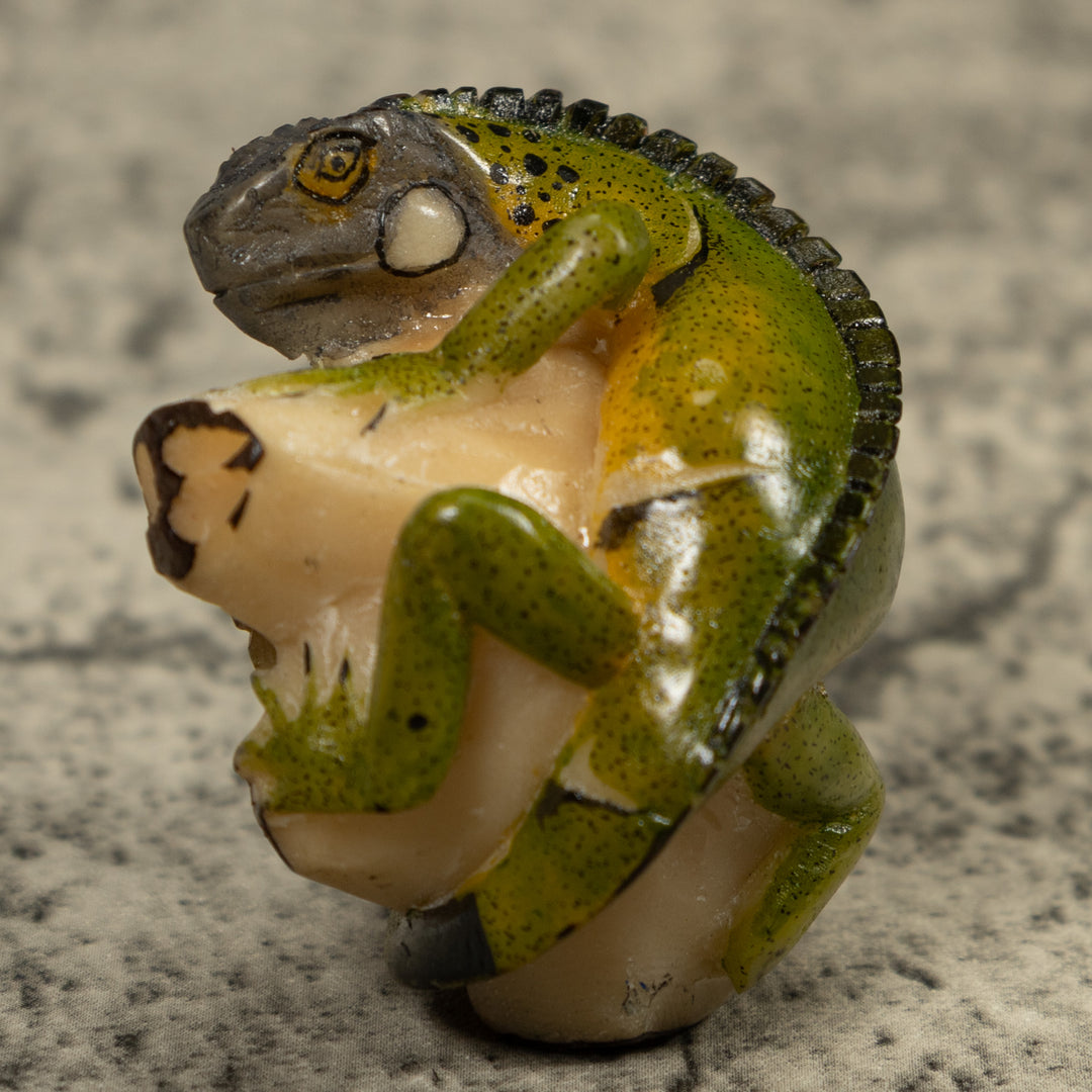 Iguana Lizard Reptile Tagua Carving
