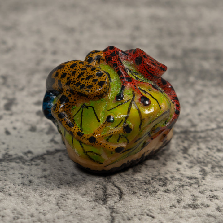 Gold Black And Red Double Poison Dart Frog Tagua Carving