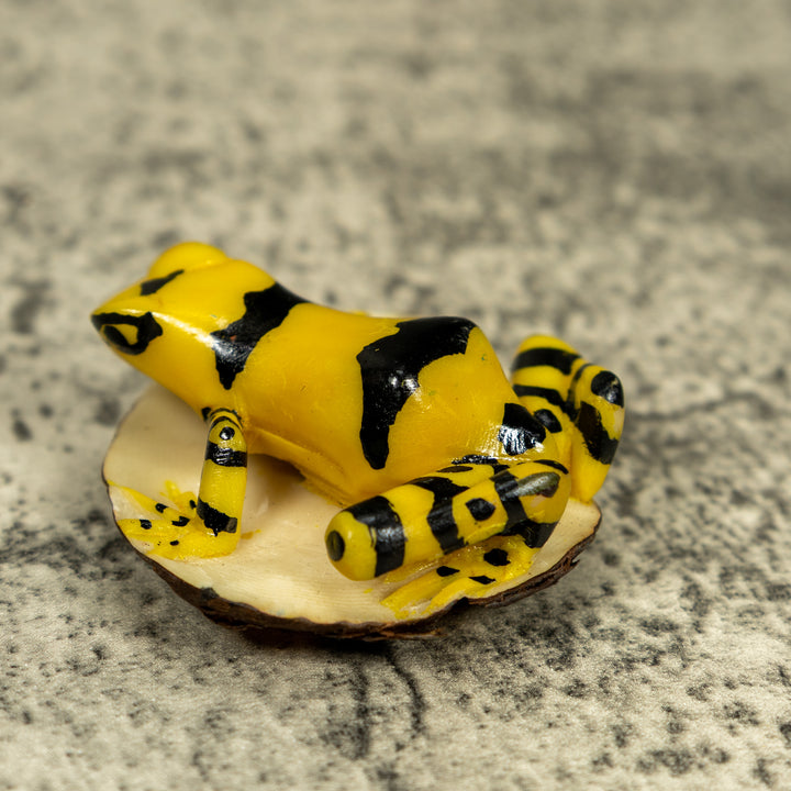 Black And Yellow Golden Frog Tagua Carving