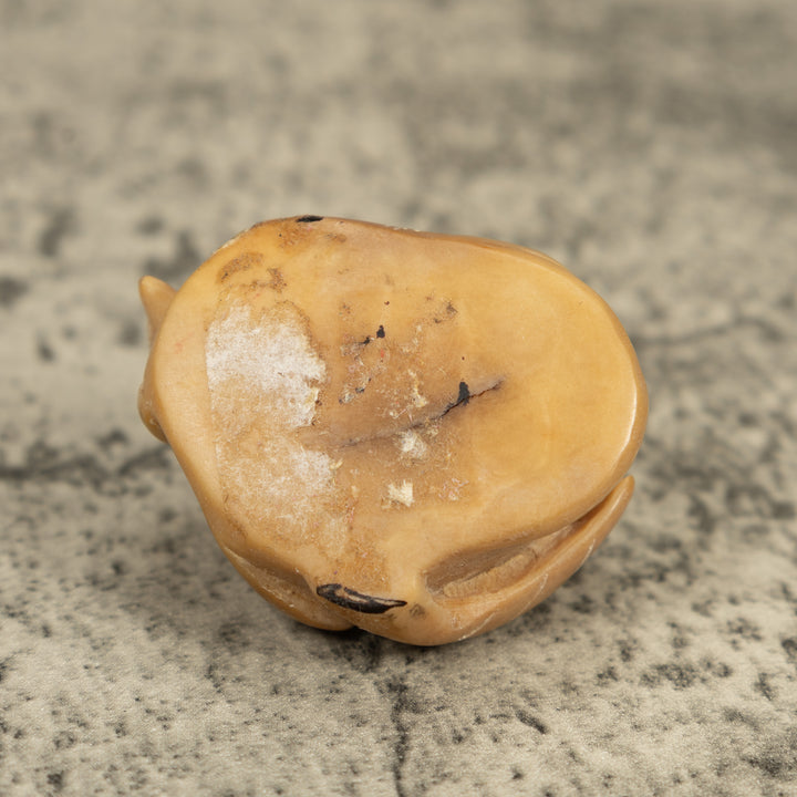 Vintage Natural White Sea Turtle Tagua Carving