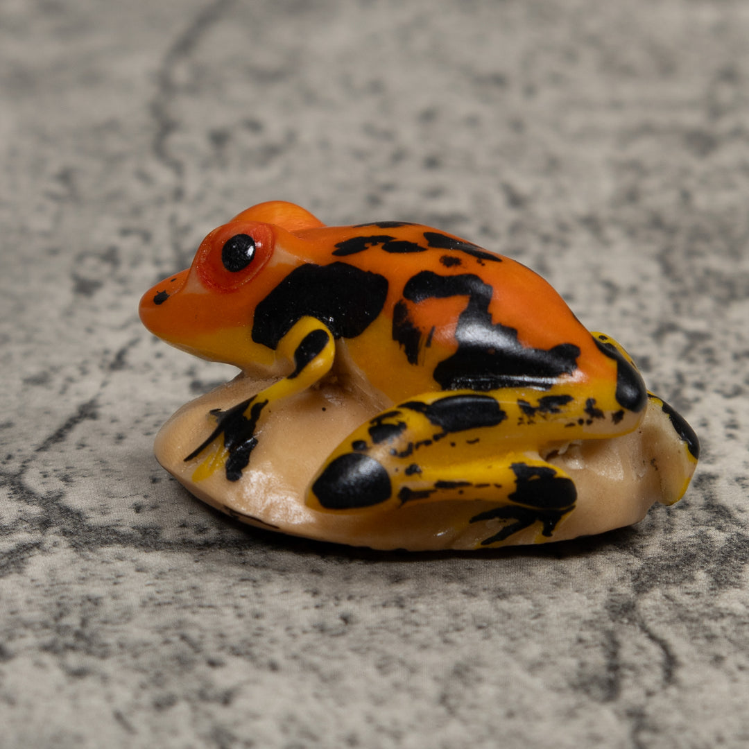 Vintage Black And Gold Poison Dart Frog Tagua Carving