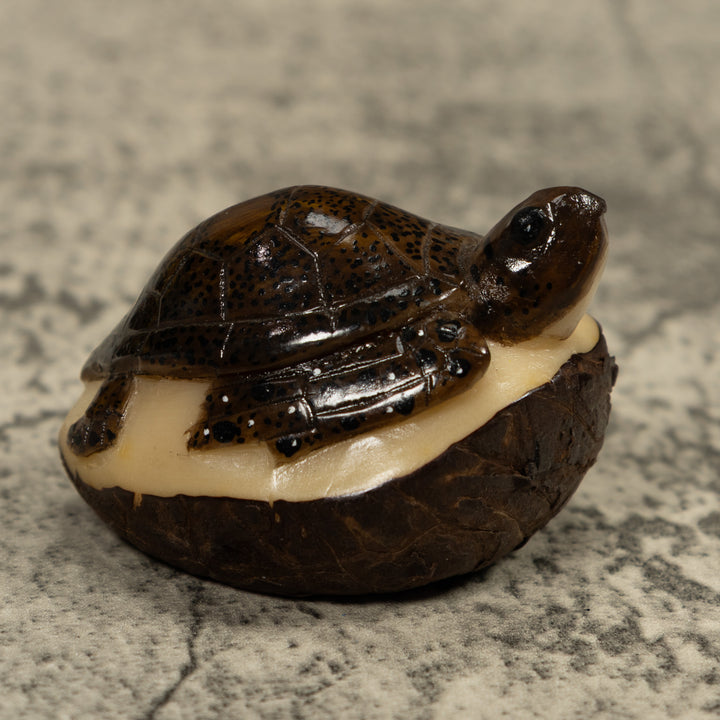 Sea Turtle Tagua Carving