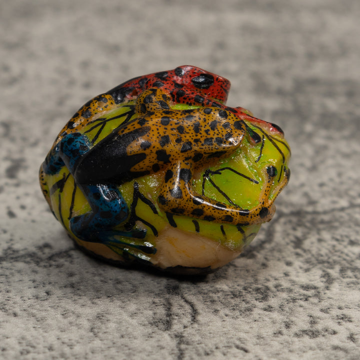 Gold Black And Red Double Poison Dart Frog Tagua Carving