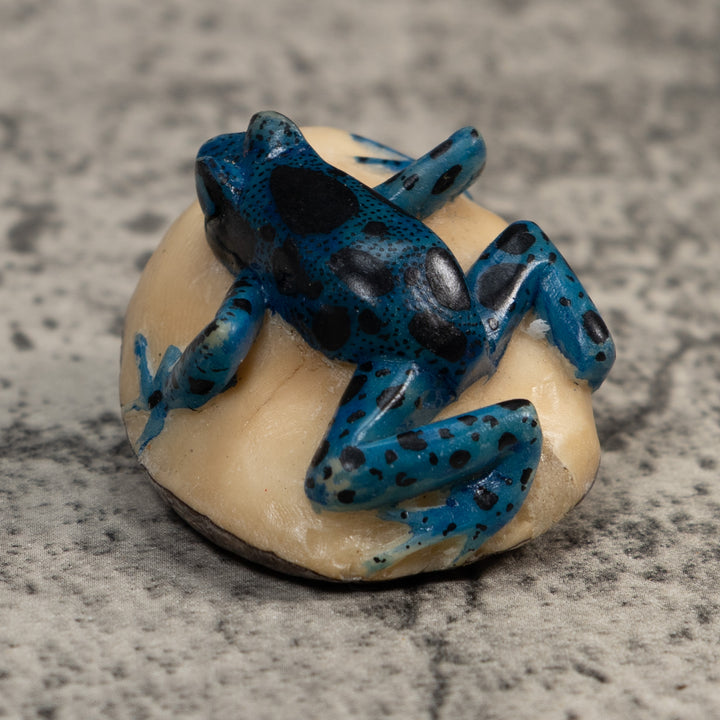 Vintage Blue And Black Poison Dart Frog Tagua Carving