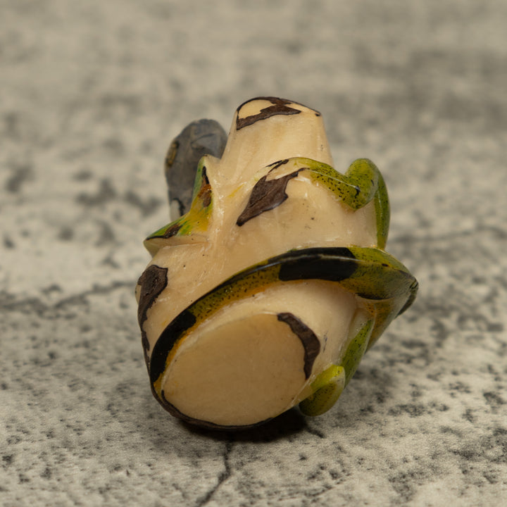 Iguana Lizard Reptile Tagua Carving