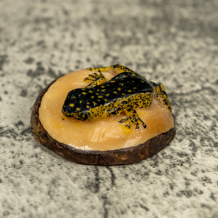 Vintage Black And Gold Rainforest Frog Tagua Carving