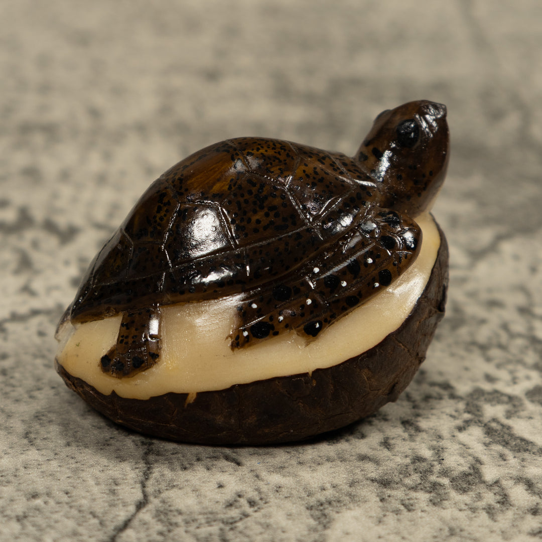 Sea Turtle Tagua Carving