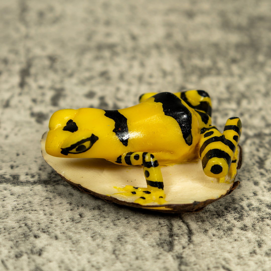 Black And Yellow Golden Frog Tagua Carving