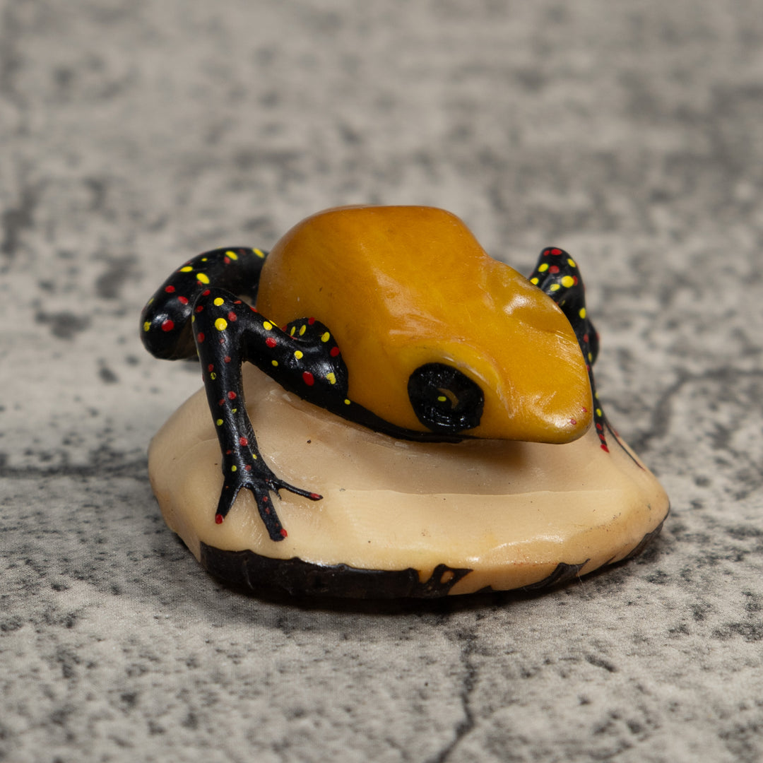 Gold And Black Poison Dart Frog Tagua Carving