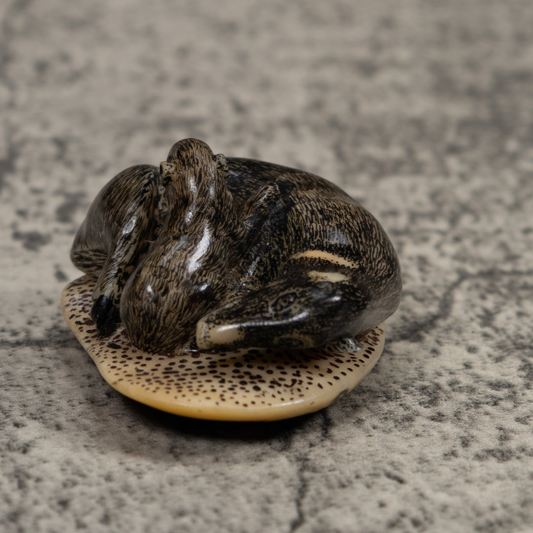 Coatimundi With Cub Tagua Carving