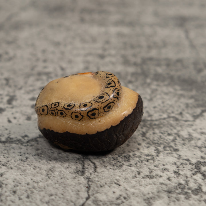 Orange And Black Snake Eating Frog Tagua Carving