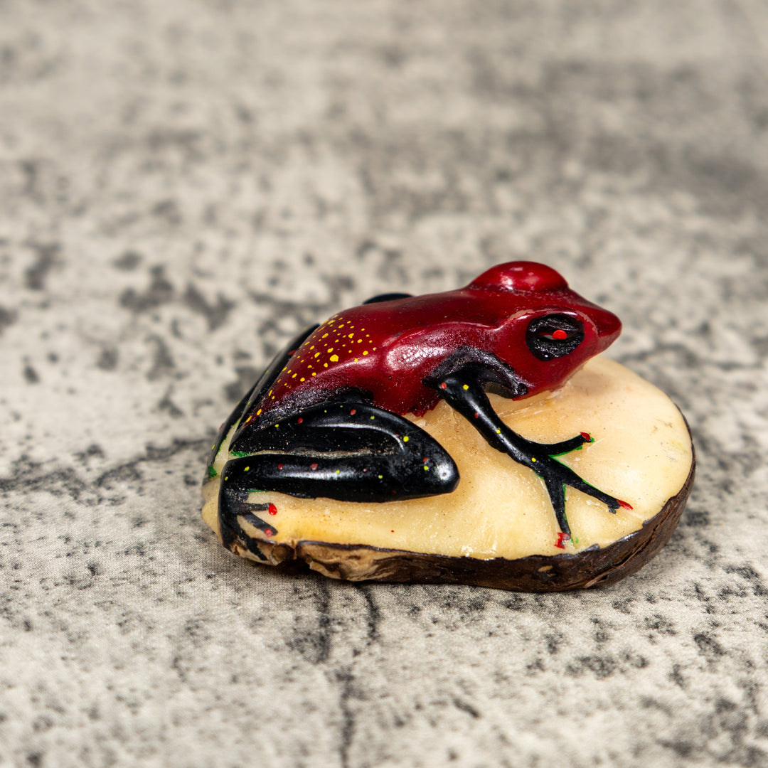 Black And Red Poison Dart Frog Tagua Carving