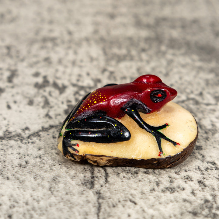 Black And Red Poison Dart Frog Tagua Carving