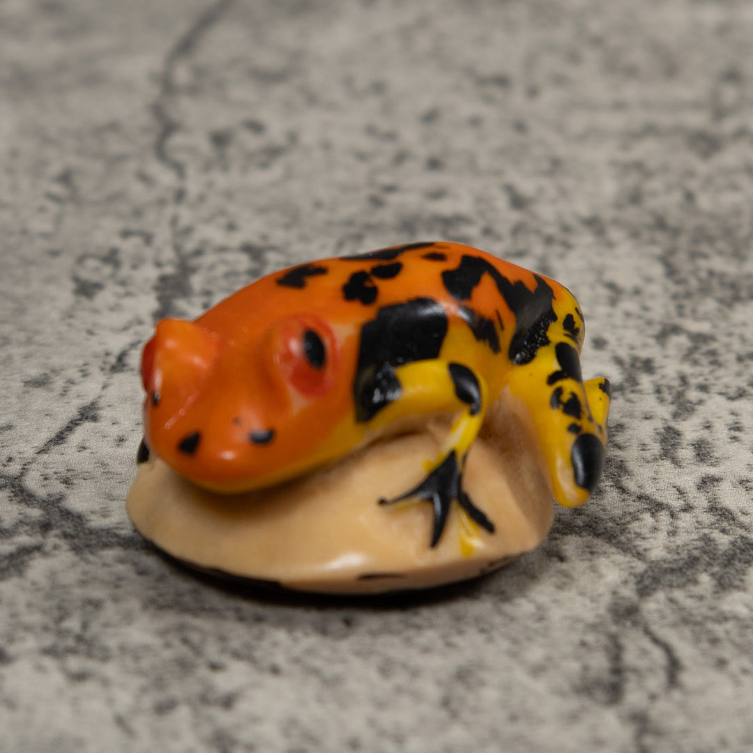 Vintage Black And Gold Poison Dart Frog Tagua Carving