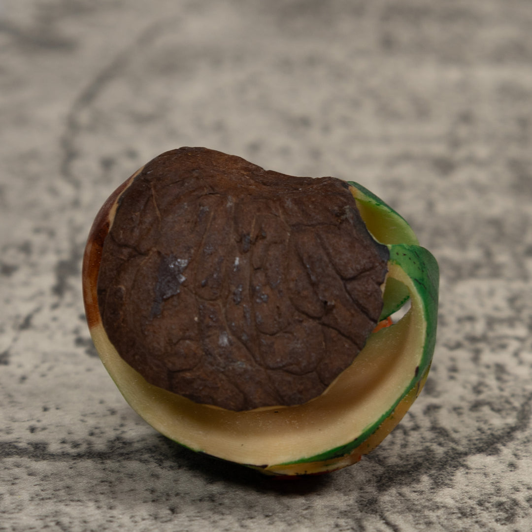 Poison Dart Frog Tagua Carving