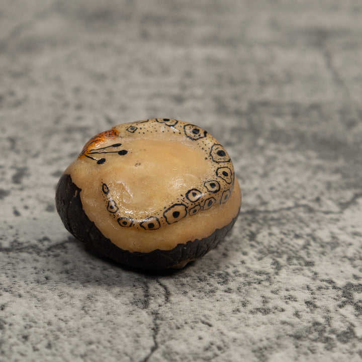 Orange And Black Snake Eating Frog Tagua Carving