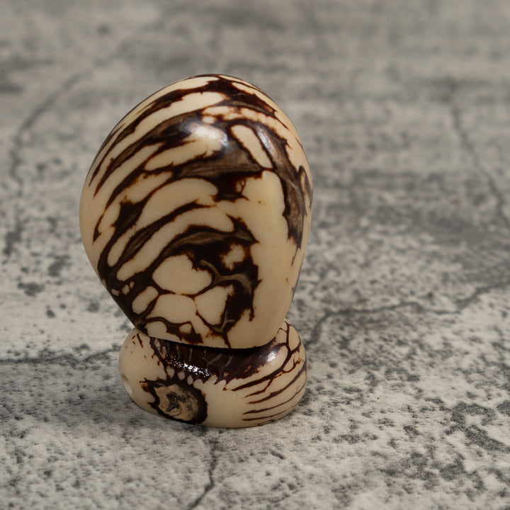Christmas Creche Tagua Carving