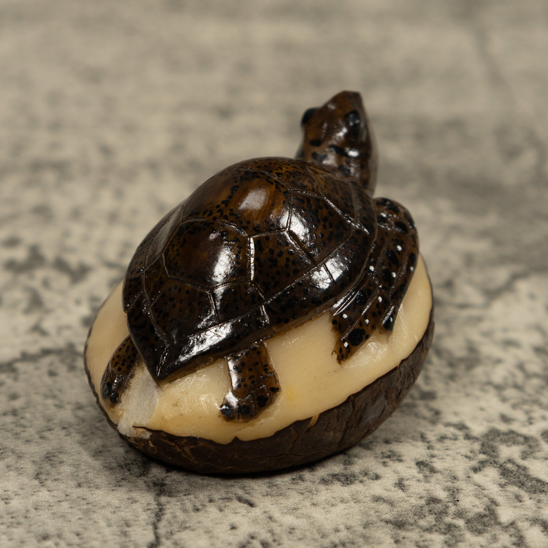 Sea Turtle Tagua Carving