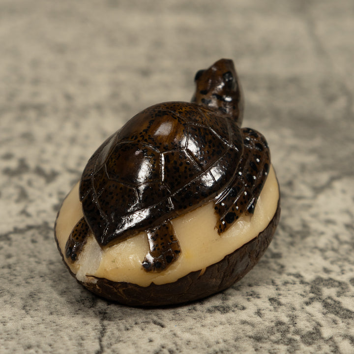 Sea Turtle Tagua Carving