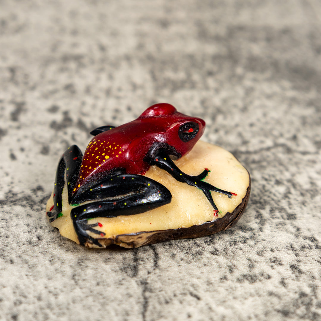 Black And Red Poison Dart Frog Tagua Carving