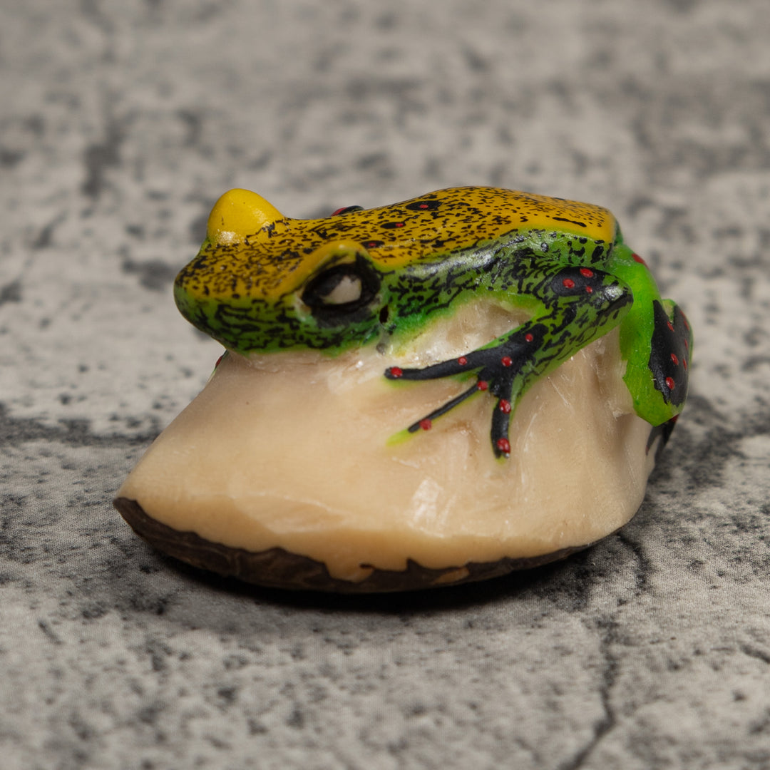 Vintage Green And Yellow Poison Dart Frog Tagua Carving