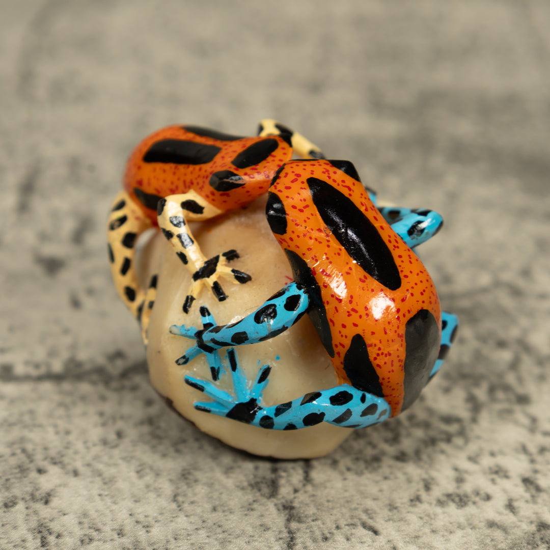 Double Poison Dart Frog Tagua Carving