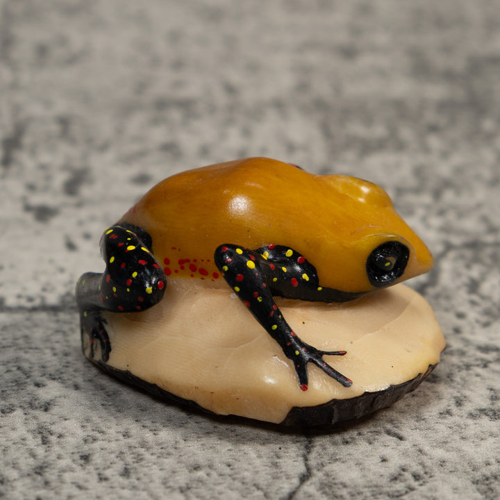 Gold And Black Poison Dart Frog Tagua Carving