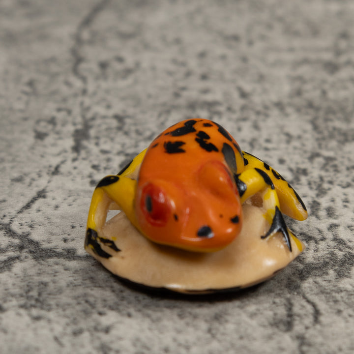 Vintage Black And Gold Poison Dart Frog Tagua Carving