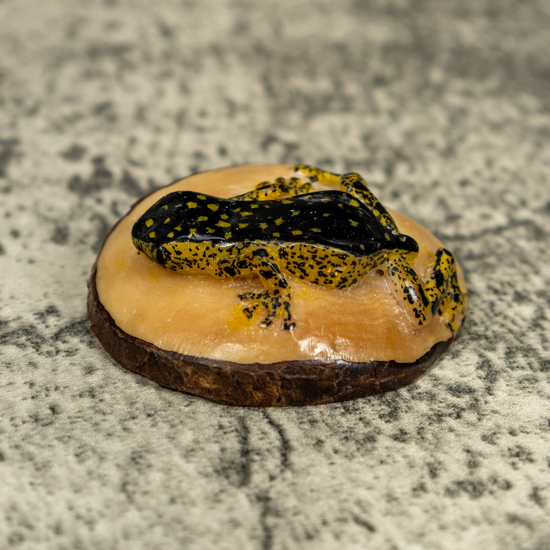 Vintage Black And Gold Rainforest Frog Tagua Carving