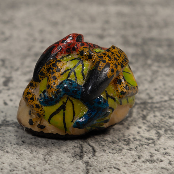 Gold Black And Red Double Poison Dart Frog Tagua Carving