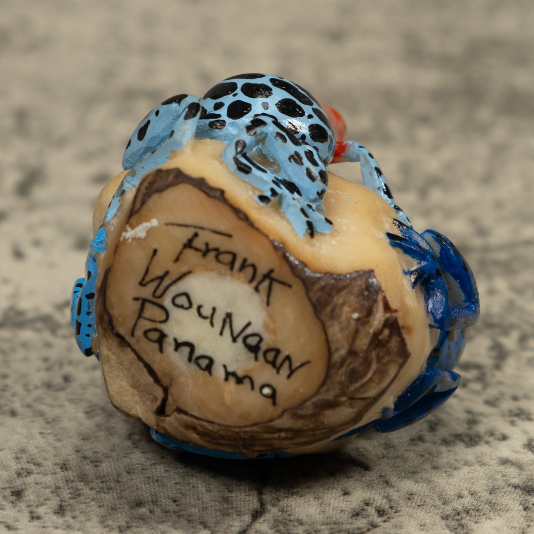 Three Poison Dart Frog Tagua Carving