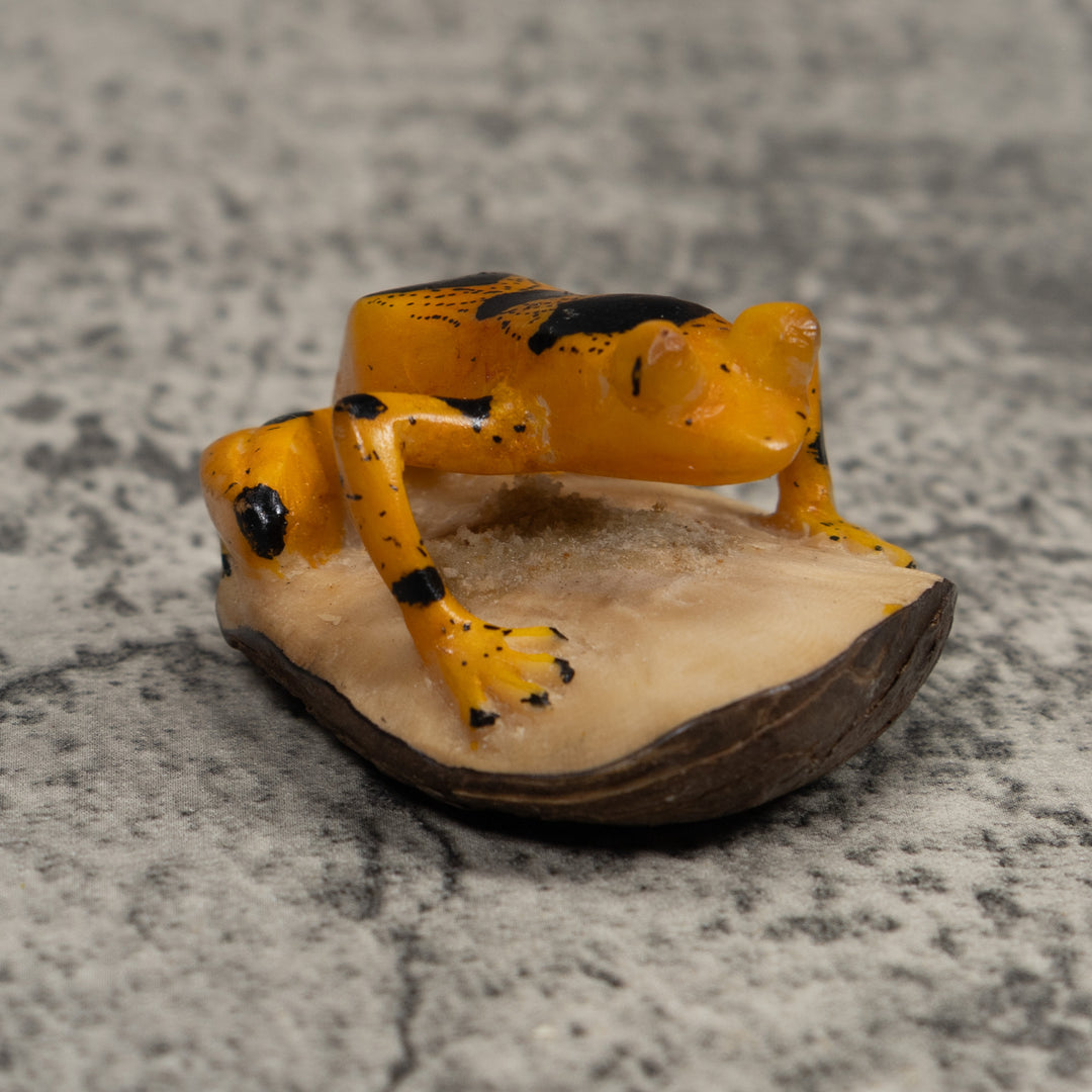 Vintage Gold And Black Frog Tagua Carving