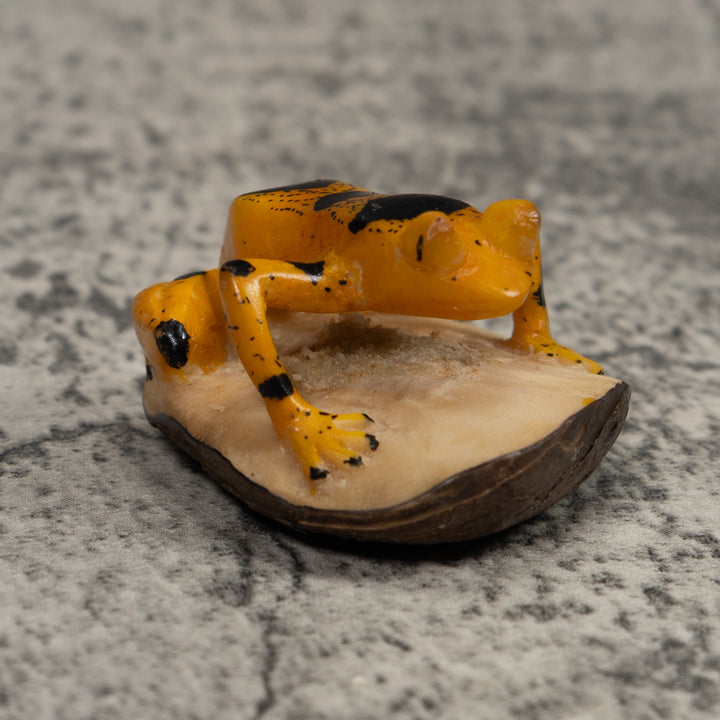 Vintage Gold And Black Frog Tagua Carving