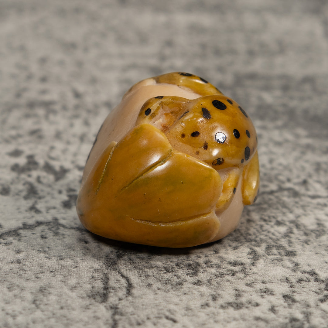 Gold And Black  Poison Dart Frog Tagua Carving