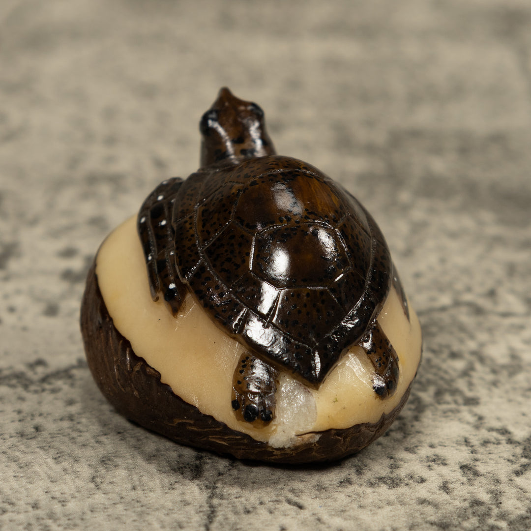 Sea Turtle Tagua Carving