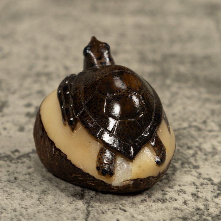 Sea Turtle Tagua Carving