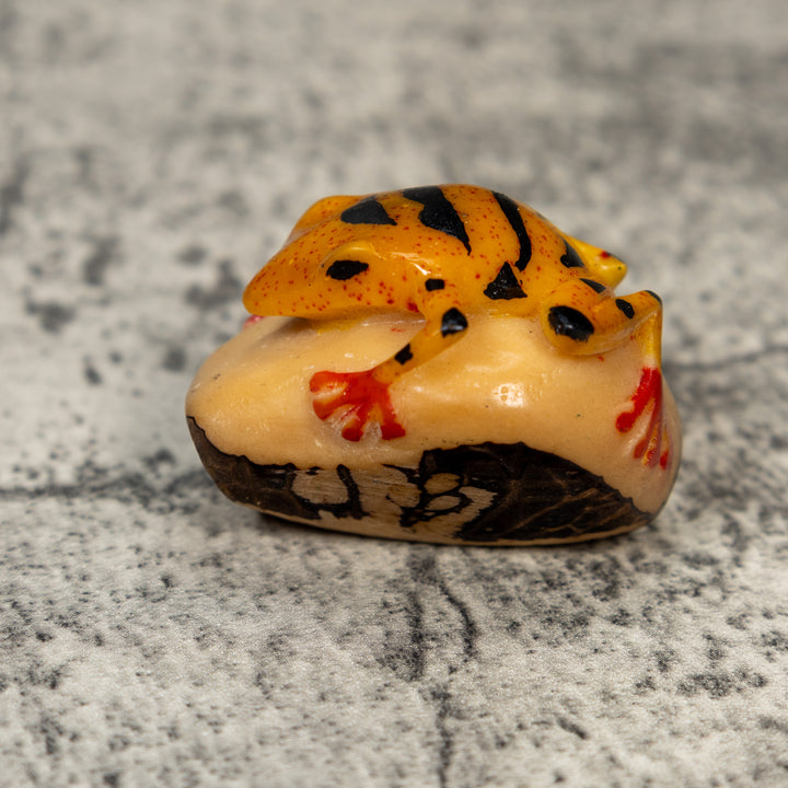 Red Black And Gold Poison Dart Frog Tagua Carving