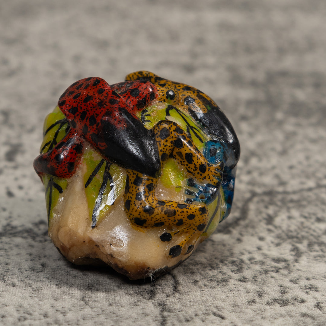 Gold Black And Red Double Poison Dart Frog Tagua Carving