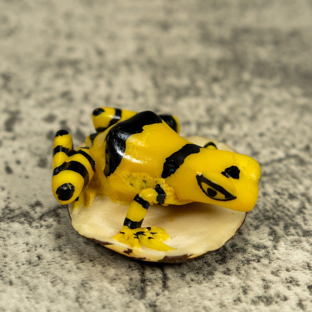 Black And Yellow Golden Frog Tagua Carving