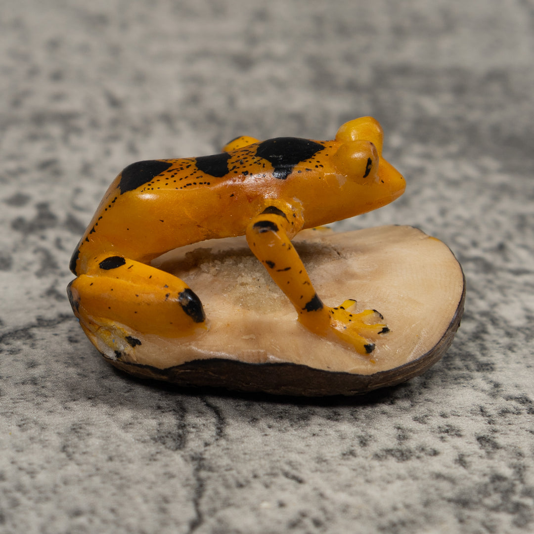 Vintage Gold And Black Frog Tagua Carving