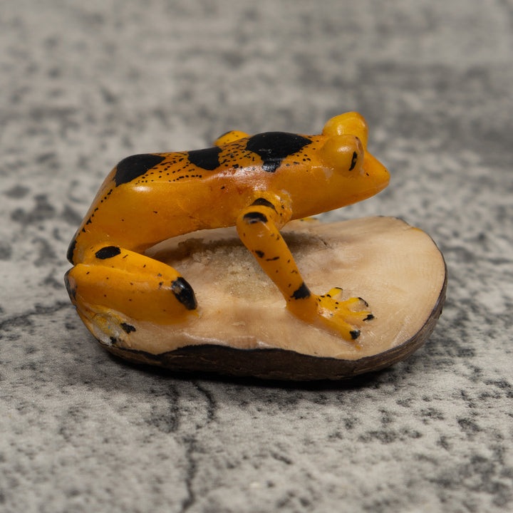 Vintage Gold And Black Frog Tagua Carving