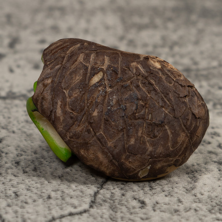 Vintage Green And Yellow Poison Dart Frog Tagua Carving