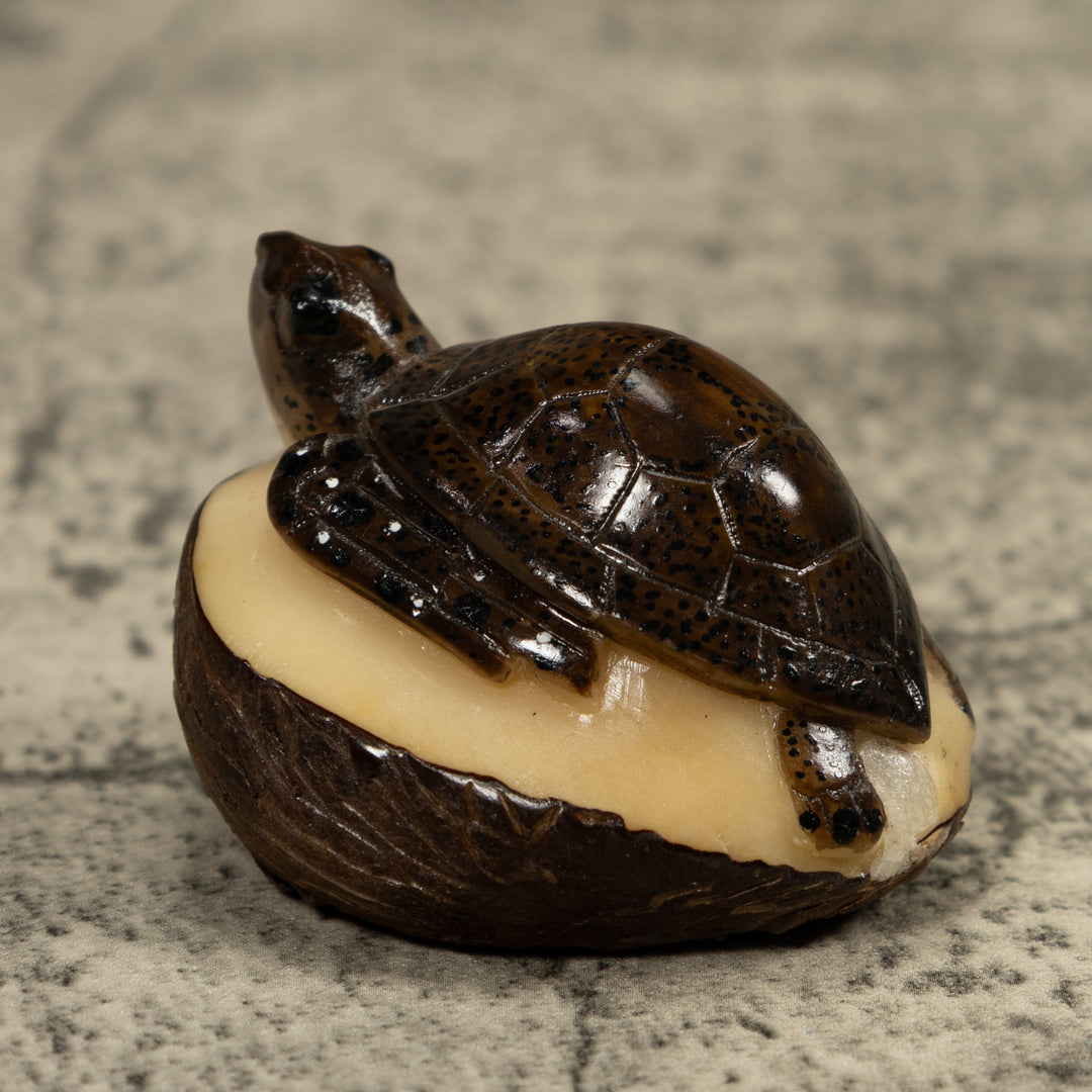 Sea Turtle Tagua Carving
