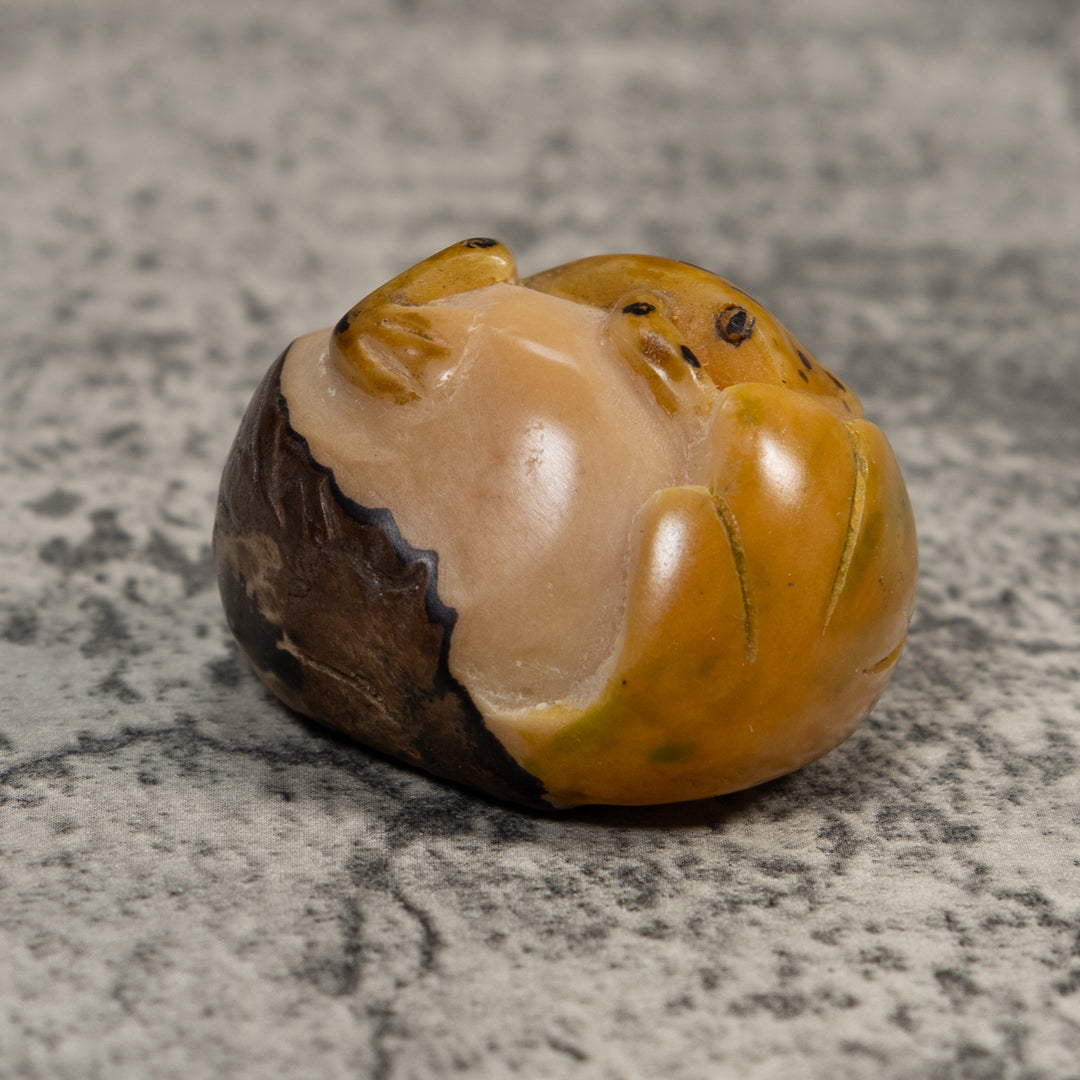 Gold And Black  Poison Dart Frog Tagua Carving