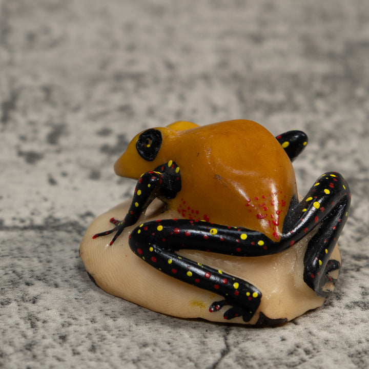 Gold And Black Poison Dart Frog Tagua Carving