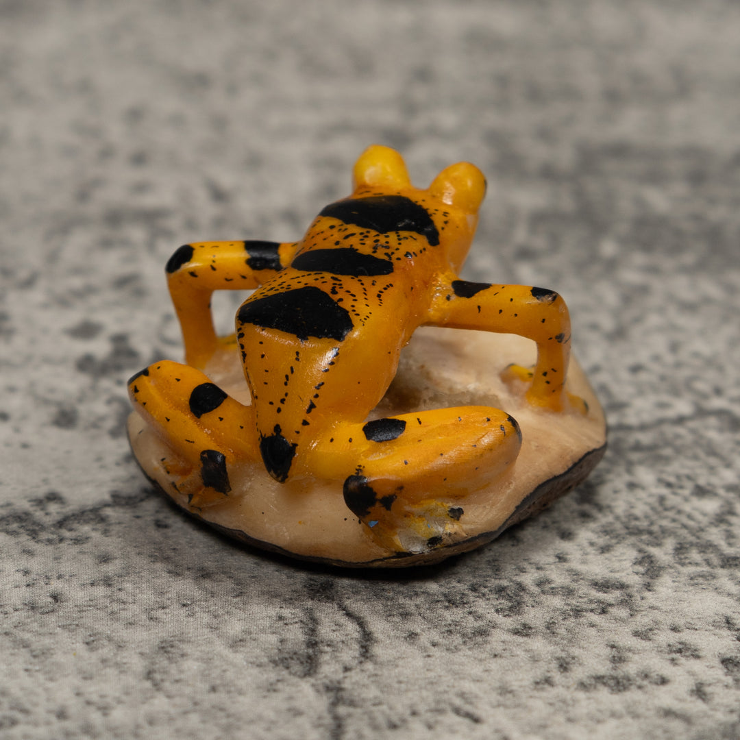 Vintage Gold And Black Frog Tagua Carving