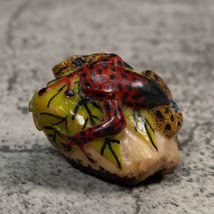 Gold Black And Red Double Poison Dart Frog Tagua Carving