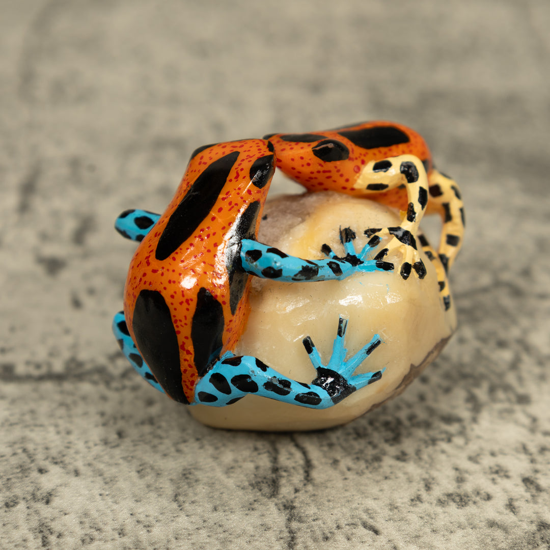 Double Poison Dart Frog Tagua Carving