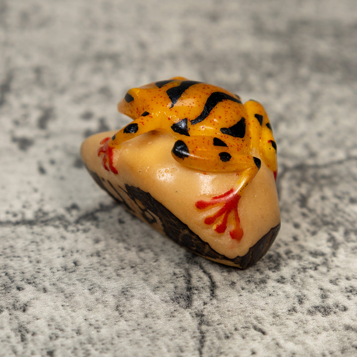 Red Black And Gold Poison Dart Frog Tagua Carving